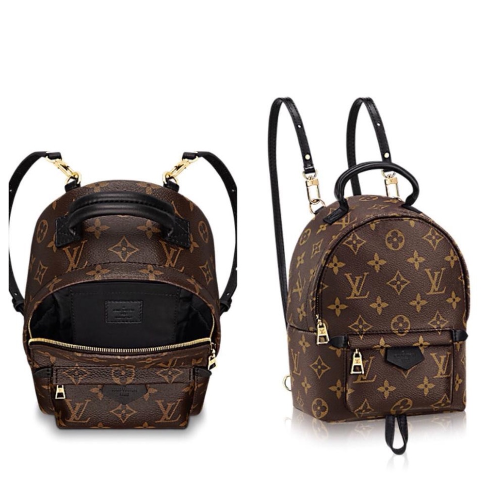 BNIB/NWT Louis Vuitton Mini Palm Springs Backpack - Picture 4 of 8